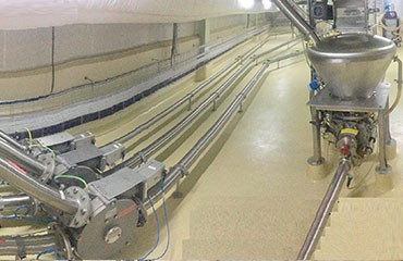 食品衛(wèi)生級管道系統